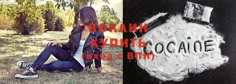 купить наркотики цена  Джанкой  Cocaine Эквадор 